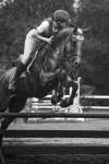 Antoine VEILLARD - Antoine veillard photographe