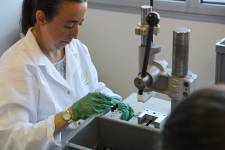 Paul FORET - SARL PAUL FORET